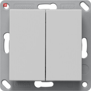 GIR2462015 / BT Wandsender 2f System 55 Grau m / EAN 4010337110743