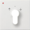 GIR664112 / Abd. Schlüsselschalter/-taster...