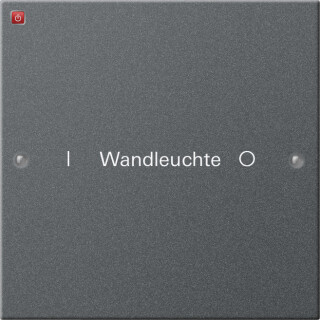 GIR220128 / Wippenset 1f beschr. System 55 Anthrazit(lack.) / EAN 4010337012375