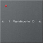 GIR220128 / Wippenset 1f beschr. System 55 Anthrazit(lack.) / EAN 4010337012375