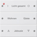 GIR220327 / Wippenset 3f beschr. System 55 Reinweiß...