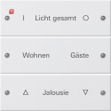 GIR220303 / Wippenset 3f beschr. System 55...