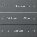 GIR220328 / Wippenset 3f beschr. System 55...