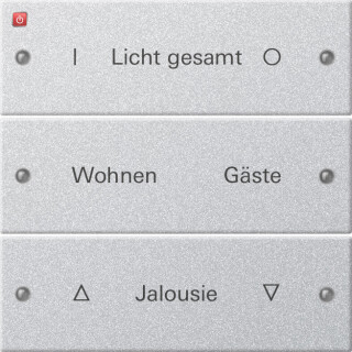 GIR220326 / Wippenset 3f beschr. System 55 F Alu(lack.) / EAN 4010337012467