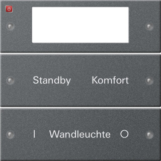 GIR221228 / Wippenset 2f Plus beschr. System 55 Anthrazit(lack.) / EAN 4010337012573