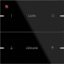GIR503205 / Wippenset 2f indiv. Tastsens.4 TS4 G Schwarz...