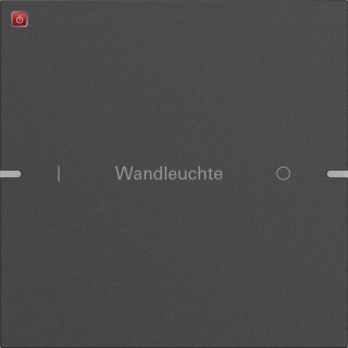 GIR5031928 / Wippenset 1f indiv. Tastsens.4 TS4 Anthrazit(lack.) / EAN 4010337098195