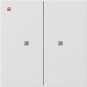 GIR5173112 / KNX Taster Wippe 2f Flächenschalter...