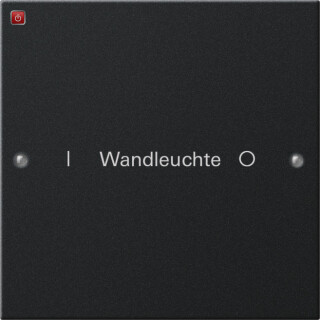 GIR2201005 / Wippenset 1f beschr. System 55 Schwarz m(lack.) / EAN 4010337038306