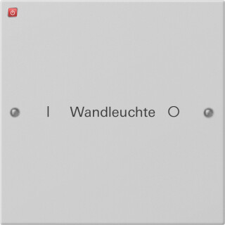 GIR2201015 / Wippenset 1f beschr. System 55 Grau m(lack.) / EAN 4010337083856