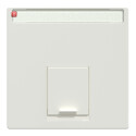 MERTEN / MEG4573-0319 / Zentralplatte für Schneider Electric-Connector 1fach, polarweiß / 4042811150051