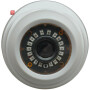 2 MP (Full HD) 4-in-1 (CVI, TVI, AHD, Analog) Dome-Kamera SAFIRE, 25 m Nachtsicht
