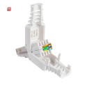 Stecker RJ45 für Kameras
