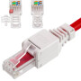 Stecker RJ45 für Kameras
