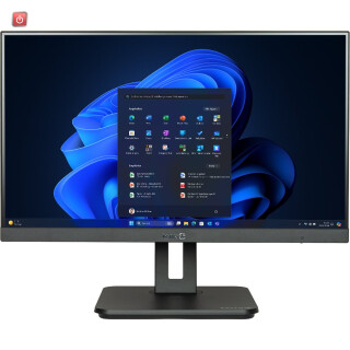 WORTMANN AG / WOR1000036 / TERRA ALL-IN-ONE-PC 2410HA GREENLINE / EAN 4039407081837