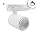 ISO116122 / 3-Phasen Schienen-Strahler fokussierbar, 42W, 20°-70°, weiß matt, 4000K, CRI92, dimmbar / EAN 9009377155185