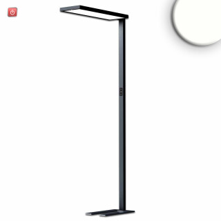ISO115617 / LED Office Pro Stehleuchte Up&Down, 80W+20W, schwarz, UGR<19, neutralweiß, Touch-Dimm / EAN 9009377144974