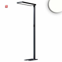 ISO115617 / LED Office Pro Stehleuchte Up&Down, 80W+20W, schwarz, UGR<19, neutralweiß, Touch-Dimm / EAN 9009377144974