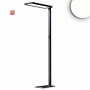 ISO115617 / LED Office Pro Stehleuchte Up&Down, 80W+20W, schwarz, UGR<19, neutralweiß, Touch-Dimm / EAN 9009377144974