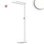ISO115618 / LED Office Pro Stehleuchte Up&Down, 80W+20W, silber, UGR<19, neutralweiß, Touch-Dimm / EAN 9009377144981