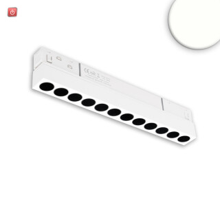 ISO116754 / Track48 Rasterleuchte 22cm weiß, 12W, 36°, UGR<19, 48V DC, 4000K, CRI90, DALI dimmbar / EAN 9009377166662