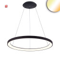 ISO115649 / LED Hängeleuchte Orbit 580, schwarz,...