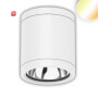 ISO115592 / LED Deckenaufbaustrahler IP65, weiß, 10W, ColorSwitch 3000|4000|5000K, dimmbar / EAN 9009377144714